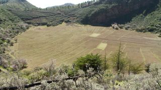 2019-02-GC-Pico_Nieves-PM-NN-42.JPG